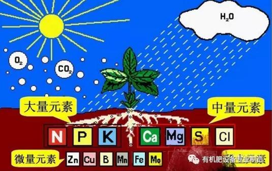 有機(jī)肥發(fā)酵_禽糞發(fā)酵不徹底的危害_家畜農(nóng)家肥