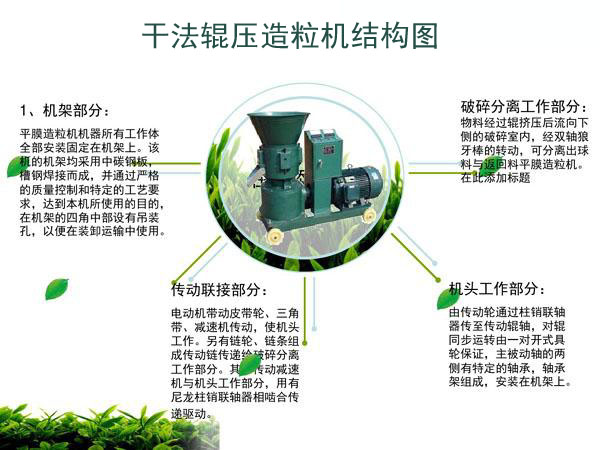 干法輥壓造粒機(jī)有哪些結(jié)構(gòu)圖