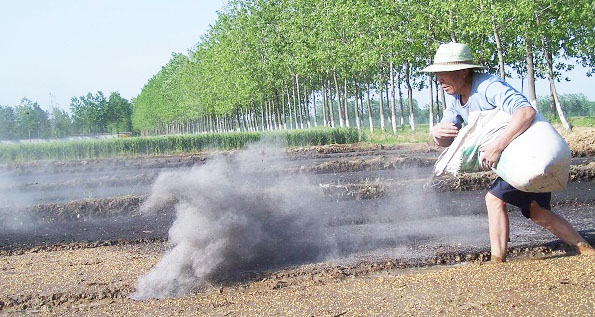 鉀肥是什么肥料，鉀肥的種類有哪些？