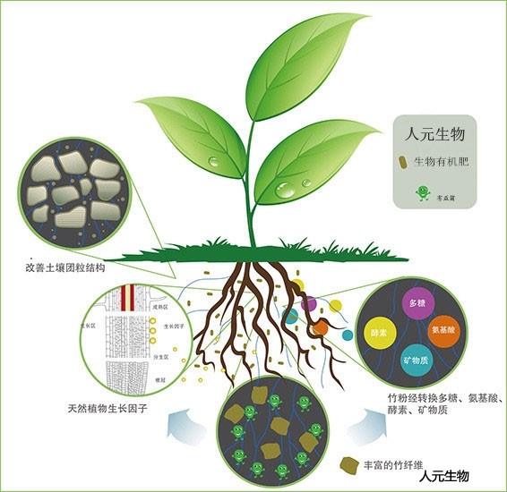 有機肥施用方法與技術