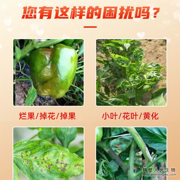 多氨豆粕菌肥系列辣椒專用肥適用范圍：適用于櫻桃椒、朝天椒、燈籠椒、羊角椒、線椒、彩椒、甜柿椒、牛角椒等辣椒類品種。