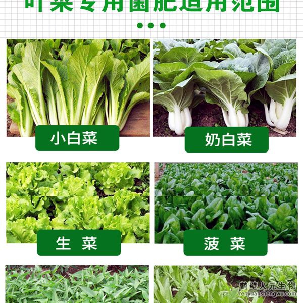 多氨豆粕菌肥系列葉菜類專用肥適用范圍：適用于生菜、雍菜、油菜、茼蒿、芹菜、菠菜、木耳菜、油麥菜、韭菜、娃娃菜、空心菜、菜心、莧菜等葉菜類作物。