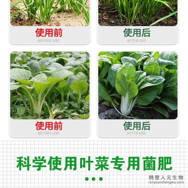 多氨豆粕菌肥系列葉菜類專用肥使用效果圖2